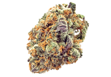Cannabis